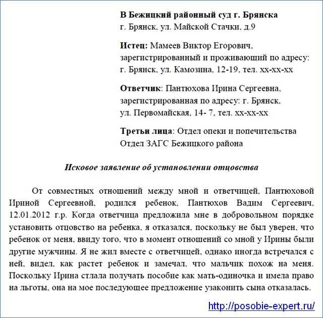 Иск об установлении факта отцовства. Исковое исковое заявление об установлении отцовства. Образец искового заявления об установлении отцовства.